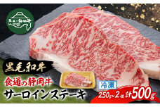 ＜食通の静岡牛＞ サーロインステーキ　250g×2枚 ブランド牛_肉 牛肉 サーロイン ステーキ 静岡牛 和牛 黒毛和牛 500g 国産 静岡県 磐田市 冷凍 送料無料【1637185】