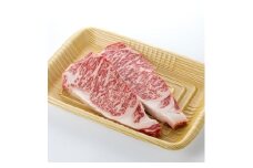 ＜食通の静岡牛＞ サーロインステーキ　250g×2枚 ブランド牛_肉 牛肉 サーロイン ステーキ 静岡牛 和牛 黒毛和牛 500g 国産 静岡県 磐田市 冷凍 送料無料【1637185】