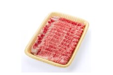 ＜食通の静岡牛＞ ローススライス　500g×2P　すき焼き・しゃぶしゃぶ ブランド牛_肉 牛肉 ロース ロース肉 静岡牛 和牛 黒毛和牛 1000g 1kg 国産 静岡県 磐田市 冷凍 送料無料【1637186】