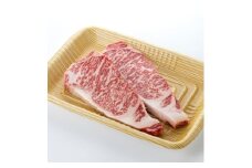 ＜食通の静岡牛＞  サーロインステーキ　250g×2枚×2P ブランド牛_肉 牛肉 サーロイン ステーキ 静岡牛 和牛 黒毛和牛 国産 静岡県 磐田市 冷凍 送料無料【1637188】