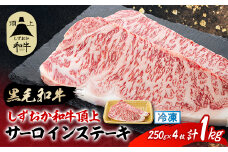 ＜しずおか和牛頂上＞ サーロインステーキ　250g×2×2P　黒毛和牛 ブランド牛【1637198】