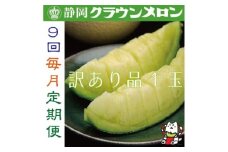 ＜毎月定期便＞＜訳あり品＞クラウンメロン1玉・9ヵ月毎月お届け全9回【4069590】