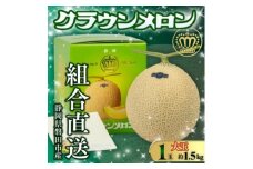 ＜組合直送＞＜大玉＞静岡が誇る温室高級マスクメロン「クラウンメロン」1玉(約1.5kg)【1641555】