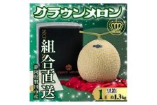 ＜組合直送＞＜黒箱＞静岡が誇る温室高級マスクメロン「クラウンメロン」1玉(約1.3kg)【1641558】
