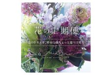 ＜磐田市内限定＞6か月間　離れて暮らす大切な人に届けます『花の定期便』【1630597】