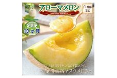 ＜毎月定期便＞アローマメロン1玉(約1.0kg以上/玉)＜静岡高級マスクメロン＞　全10回【4071900】