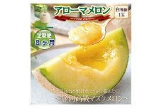 ＜毎月定期便＞アローマメロン1玉(約1.0kg以上/玉)＜静岡高級マスクメロン＞　全8回【4071902】