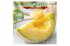 ＜毎月定期便＞アローマメロン1玉(約1.0kg以上/玉)＜静岡高級マスクメロン＞　全5回【4071904】