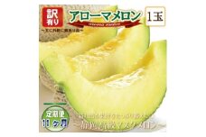 ＜毎月定期便＞＜高級メロンの訳あり品＞アローマメロン1玉全11回【4071928】