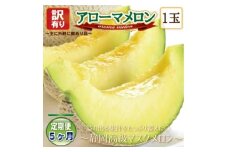 ＜毎月定期便＞＜高級メロンの訳あり品＞アローマメロン1玉　全5回【4071934】