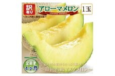 ＜毎月定期便＞＜高級メロンの訳あり品＞アローマメロン1玉　全4回【4071935】