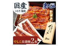 浜名湖養鰻125年の最高傑作「でしこ」!浜名湖・うなぎのたなか国産長蒲焼2本ギフト※合計220g程度【1664703】