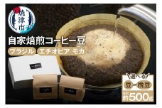 a10-064　自家焙煎コーヒー豆2種 約500g