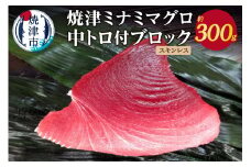 a11-049　焼津ミナミマグロ中トロ付ブロック（スキンレス）