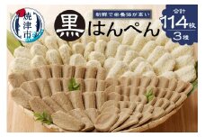 a15-155　焼津 黒はんぺん セット 2