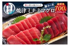a24-038　焼津ミナミマグロBコース