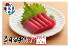 a10-354　訳有り目鉢鮪赤身