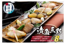 a10-367　漬魚三彩 8切入 TUS40SKC
