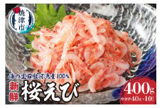 a10-420　静岡県漁連 お刺身用生桜えび えび 海老 エビ 桜エビ 冷凍 国産 生食 小分け 焼津