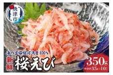 a10-420　静岡県漁連 お刺身用生桜えび えび 海老 エビ 桜エビ 冷凍 国産 生食 小分け 焼津