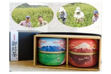 a12-048　農薬不使用、手摘み「放任茶」50g×2缶