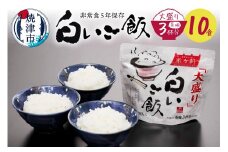 a15-571　非常食 5年 白いご飯 大 10食 200g 災害