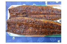 a20-231　国産うなぎ長焼き2尾(約190g～210g)