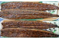 a30-182　カネト平田うなぎ長焼き4本セット約160g×4