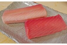 a38-001　魚二 天然ビンチョウ鮪・目鉢鮪中トロ約1.6kgセット