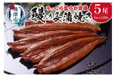 a50-085　鰻の長蒲焼き5尾詰合せ