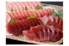 a50-095　焼津 天然 南 まぐろ 中トロ 付き セット3