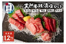 a50-096　天然本鮪満喫セット