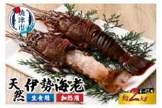 b100-035　伊勢海老 三昧セットC 刺身用＋焼物用