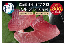 a31-011　焼津ミナミマグロスキンレスセット
