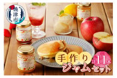a18-009　無添加無農薬手作りジャム11本セット