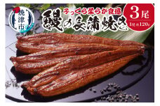 a29-002　鰻 の 長蒲焼き 3尾 詰合せ