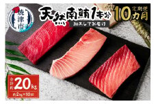 b650-003　【定期便 10回】天然南鮪1本分(約2kg)