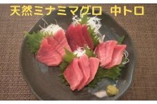 a20-285　天然 南 鮪 （マグロ） 中トロ 600g 入り セット