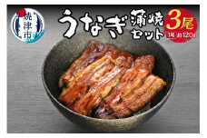 a21-013　うなぎ 蒲焼 セット 約120g×3尾 海鮮うなぎ専門店 銀鮮