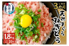 a30-207　【定期便 3回】 天然鮪 + ネギトロ 個包装 20食セット 本マグロ 南マグロ キハダマグロ まぐろ マグロ ねぎとろ 鮪たたき 小分け 人気 ネギトロ丼
