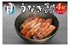 a30-210　うなぎ 蒲焼 セット約 120g×4尾 海鮮うなぎ専門店 銀鮮