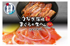 a12-096　鰻の蒲焼 鮪の生ハム 焼津銀鮮 詰合せ Aセット