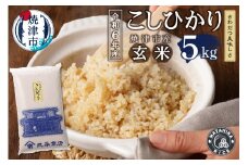 a19-056　令和6年産　玄米 5kg コシヒカリ
