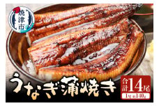 a90-001　うなぎ蒲焼き(鰻長焼き)約140g　14尾