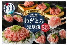 b300-013　【定期便 10回】焼津産ネギトロ(150×20個)