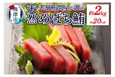 a20-315　約20人前 老舗鮪問屋 が 選ぶ 天然 めばち 鮪 約2kg