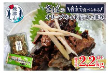 a11-029　骨まで食べられるさばのオリーブオイル漬けと佃煮
