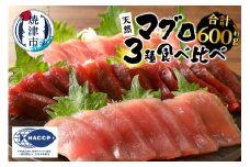 a22-034　マグロ 赤身 3種 食べ比べ セット 合計約600g 冷凍　F2