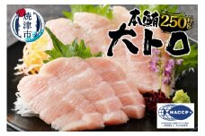 a20-373　焼津 本マグロ 大トロ 1本約250g 冷凍 F1