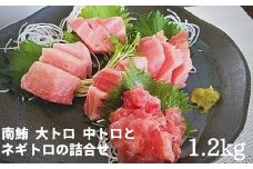 a30-228　天然南鮪　大トロ,中トロとネギトロの詰合せ 約1,2kg入り
